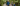 Grandparents and grandchildren taking a walk in New Zealand native forest