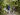 Grandparents and grandchildren taking a walk in New Zealand native forest