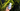 Hand holding LifeMax NR supplement outdoors for NAD+ and energy support
