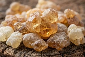 Boswellia-Gum ingredient in Lester's Probiotic Plus.