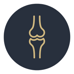 Navy joint health icon.