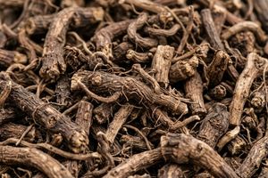 Close-up of valerian root, an ingredient which supports the nervous system