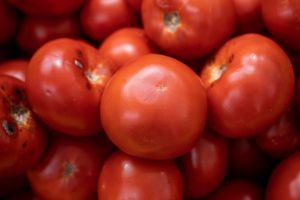 Lycopene ingredient