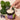 Person using the Magnesium, Kawakawa & Lavender Body Cream