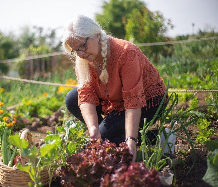 Woman tending to plants in a garden.