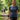 Woman on a walk with the Wrist Band with Zip Pocket